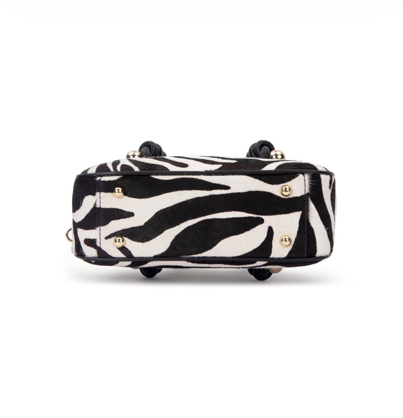 Bonita in zebra