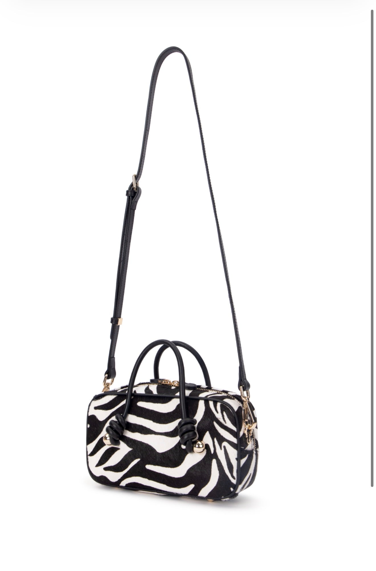 Bonita in zebra