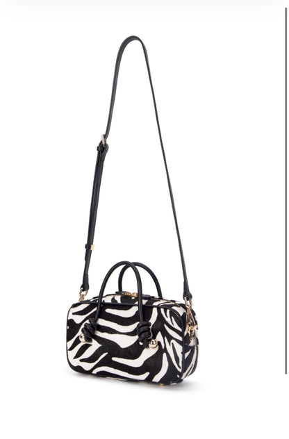 Bonita in zebra